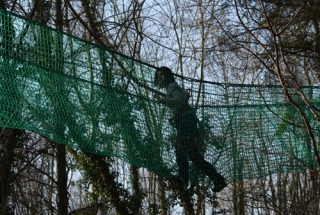 Las redes del recorrido en los árboles 
